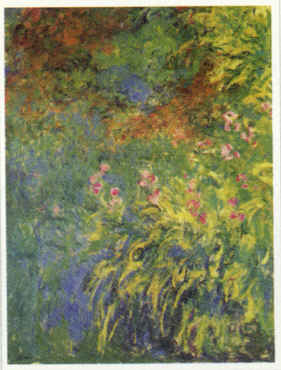Irises, 1914-17